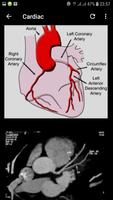 Atlas of CT Anatomy imagem de tela 3