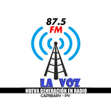 Radio La Voz 87.5 FM-icoon