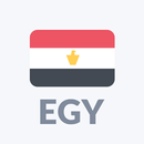 Radio Egypt FM online APK