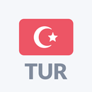 Radio Türkei FM online APK