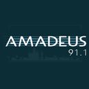 RADIO AMADEUS FM 91.1 APK