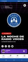 Poster Radio Voces