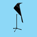 Radio Moraju APK