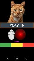 Mouse for the cat. Cat Games پوسٹر
