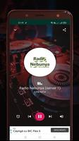 Radio Nebunya Manele ภาพหน้าจอ 1