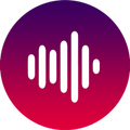 Британское радио 161 FM