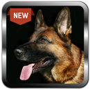 Dog Training Books for Free APK