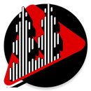 Radio PPMI Mesir APK