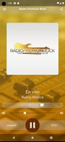 Radio premium rock Cartaz