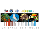 Rádio Tribuna do Pantanal APK