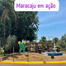 Rádio Maracaju em Ação APK