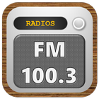 Rádio 100.3 FM ícone