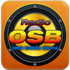 Radio Onda Sureña Boliviana icône