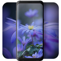 Flower Wallpapers FHD - 4K