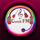 Gundi Fm - Radyoya Kurdî ( Kür APK