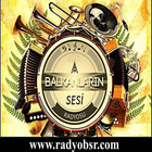 Radyo BSR icono