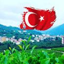 Radyo Güce APK