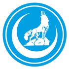 Radyo Turan ikon