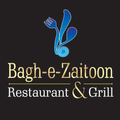 Bagh E Zaitoon