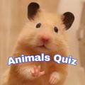 Animals Quiz