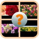 Guess Name Beautiful Flower APK