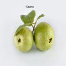 Guava APK