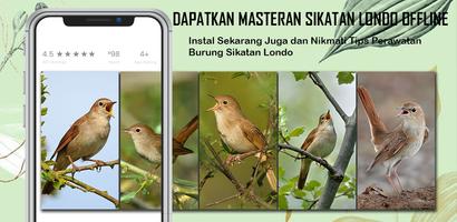 Masteran Sikatan Londo Offline Affiche