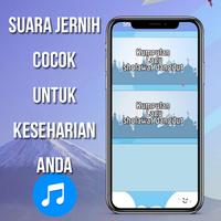 Sholawat Dangdut Koplo Mp3 capture d'écran 3