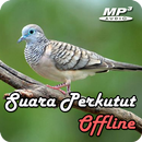 Suara Perkutut Pikat Offline APK