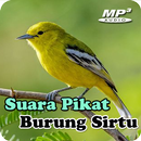 Suara Pikat Burung Sirtu Mp3 APK