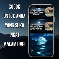 Suara Pikat Ruak Ruak Malam capture d'écran 3