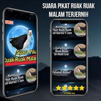 Suara Pikat Ruak Ruak Malam screenshot 1