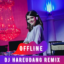 DJ Bara Bere Remix Full Bass Offline APK