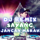 DJ Harusnya Aku Mati Remix Viral Offline APK