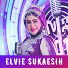 Elvie Sukaesih Top Best Album icône