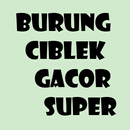 BURUNG CIBLEK GACOR SUPER APK