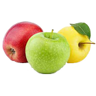 Apple Tree Pests and Diseases icône