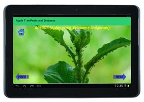 Apple Tree Pests and Diseases capture d'écran 3