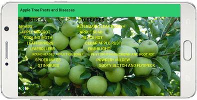 Apple Tree Pests and Diseases Affiche
