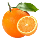 Pests and Diseases of Citrus ikon