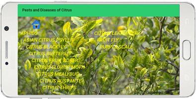 Pests and Diseases of Citrus capture d'écran 3