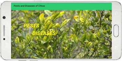 Pests and Diseases of Citrus capture d'écran 1