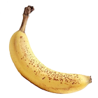 Banana Pests and Diseases Zeichen