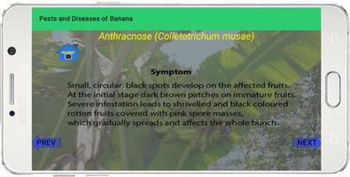 Banana Pests and Diseases ảnh chụp màn hình 3