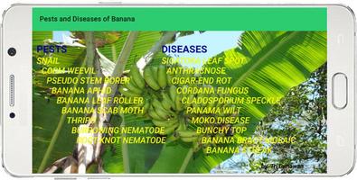 Banana Pests and Diseases ảnh chụp màn hình 2