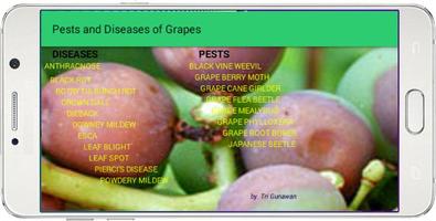 Pests and Diseases of Grapes screenshot 1