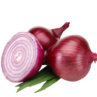 Pests And Diseases of Onion biểu tượng