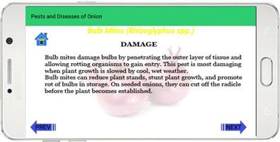 Pests And Diseases of Onion capture d'écran 3