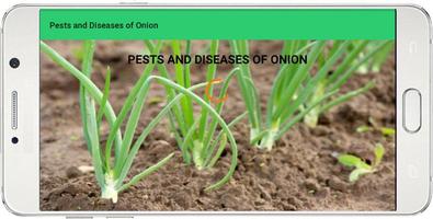 Pests And Diseases of Onion Affiche