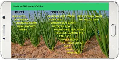 Pests And Diseases of Onion capture d'écran 1